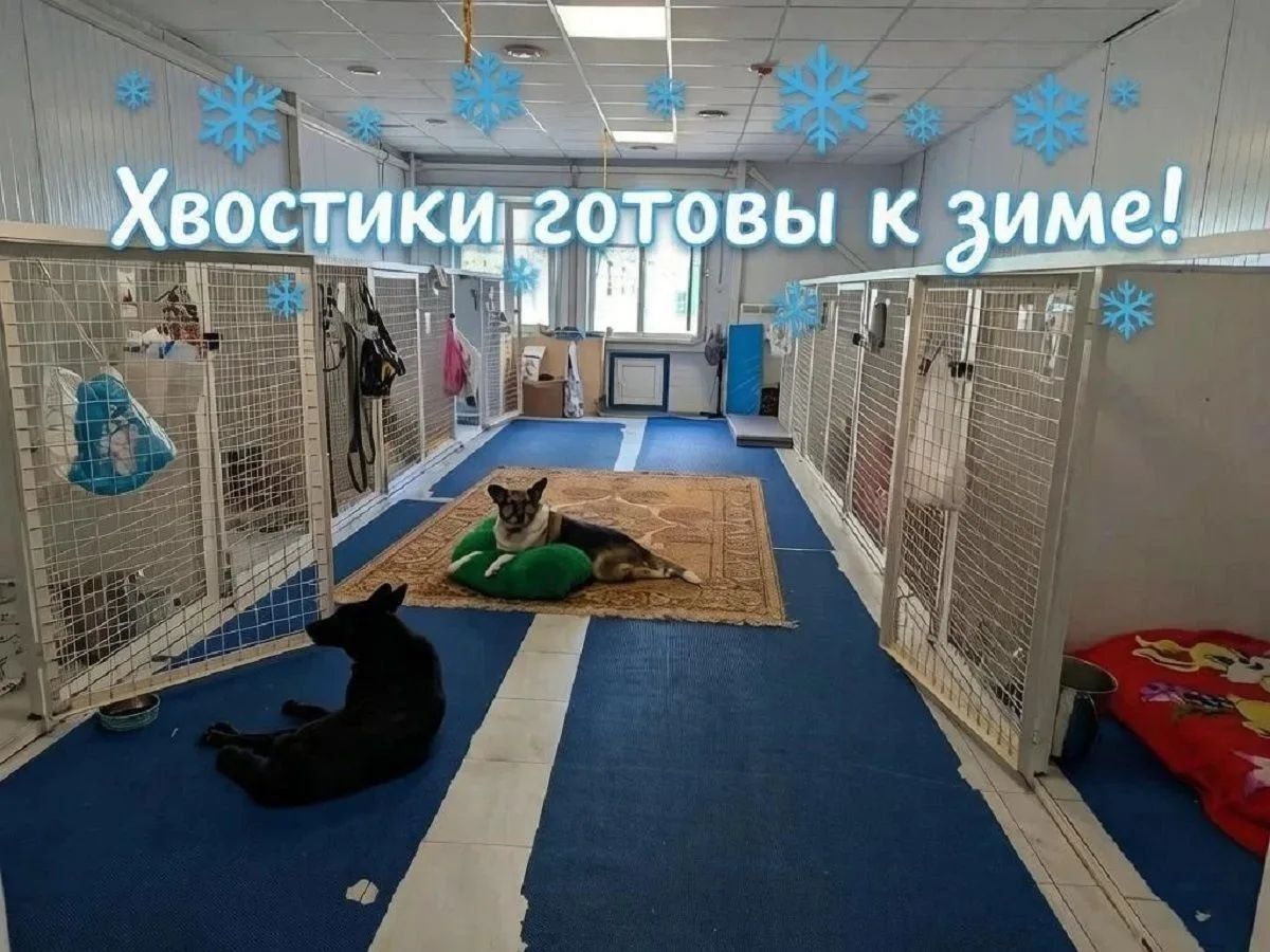 Миссия «Тепло» выполнена