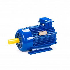 Электродвигатель 5МТКН 112-6 5/1000 IM1001