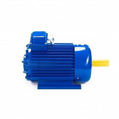 Электродвигатель 5МТКН 012-6 2,2/1000 IM1001