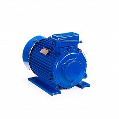 Электродвигатель 5МТКН 311-8 7,5/750 IM1001