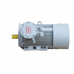 Электродвигатель 2АИМУР 280 М4 У2,5 660/1140В, класс изоляции Н, PBExdI Mb, РТС (статор), стальной фланец, подшипники SKF, 160/1500 IM9701