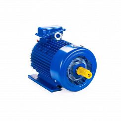 Электродвигатель 5МТКН 225 L6 55/1000 IM1003