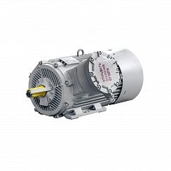 Электродвигатель 2АИМУР 315 L4 У2,5 660/1140В, класс изоляции Н, PBExdI Mb, РТC (статор) подшипники SKF, 315/1500 IM1001