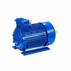 Электродвигатель 5MTКH 200 LB8 22/750 IM1003