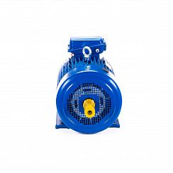 Электродвигатель 5МТКН 225 L6 55/1000 IM1003