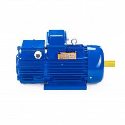 Эл.двигатель 5МТН 711-10 110/600  IM 1004