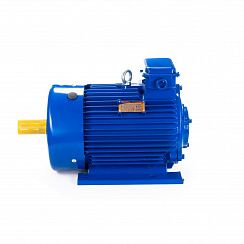 Электродвигатель 5МТКН 225 L8 37/750 IM1003