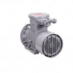 Эл.двигатель АИМУР 180 М4 У2,5 380/660В, кл. изоляции Н, PBExdI Mb/1ExdIIBT4 Gb, РТС статор, подшип. SKF, 30/1500  IM 9781