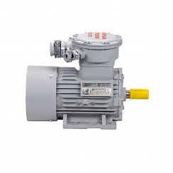 Электродвигатель АИМУР 132 М4 У2,5 380/660В, класс изоляции F, PBExdI Mb, 11/1500 IM1081