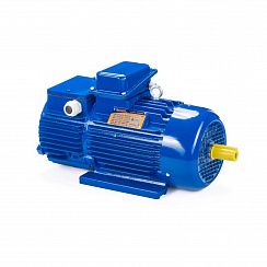 Электродвигатель 5MTKH 225 М6 37/1000 IM1003