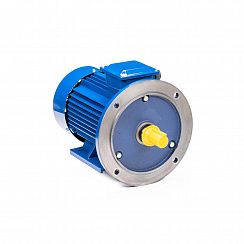 Эл.двигатель 5АИ 100 L6 ET 2.2/1000  IM 2081