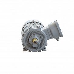 Электродвигатель 2АИМУР 315 L2 У1, 380/660В, класс изоляции F, 1ExdIIBT4 Gb, РТC (статор), подшипники SKF, 315/3000 IM1001