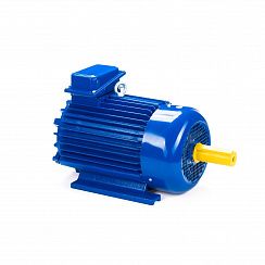 Электродвигатель 5MTKH 132 LB6