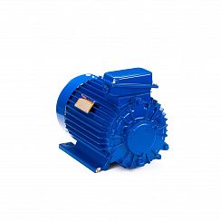 Электродвигатель 5MTKH 132 LB6