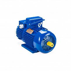Эл.двигатель 5МТН 400 S10 110/600  IM 1004