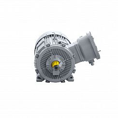 Электродвигатель 2АИМУР 315 L4 У2,5 660/1140В, класс изоляции Н, PBExdI Mb, РТC (статор) подшипники SKF, 315/1500 IM1001