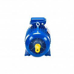 Электродвигатель 5MTKH 132 LB6