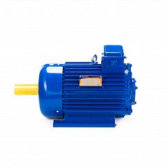 Электродвигатель 5MTKH 132 LB6