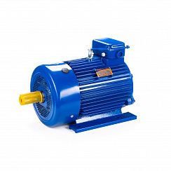 Электродвигатель 5MTКH 200 LB8 22/750 IM1003