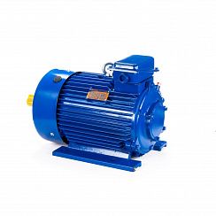 Электродвигатель 5MTКH 200 LB8 22/750 IM1003