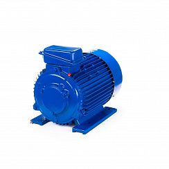 Электродвигатель 5МТКН 225 L6 55/1000 IM1003