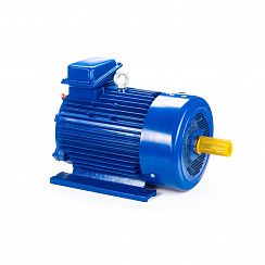 Электродвигатель 5МТКН 312-8 11/750 IM1001