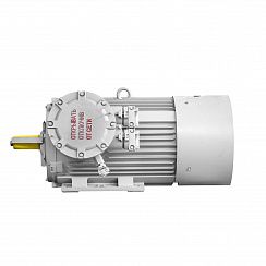 Электродвигатель 2АИМУР 280 M2 У2,5 660/1140В, класс изоляции Н, PBExdI Mb, РТC (статор), подшипники SKF, 160/3000 IM1001